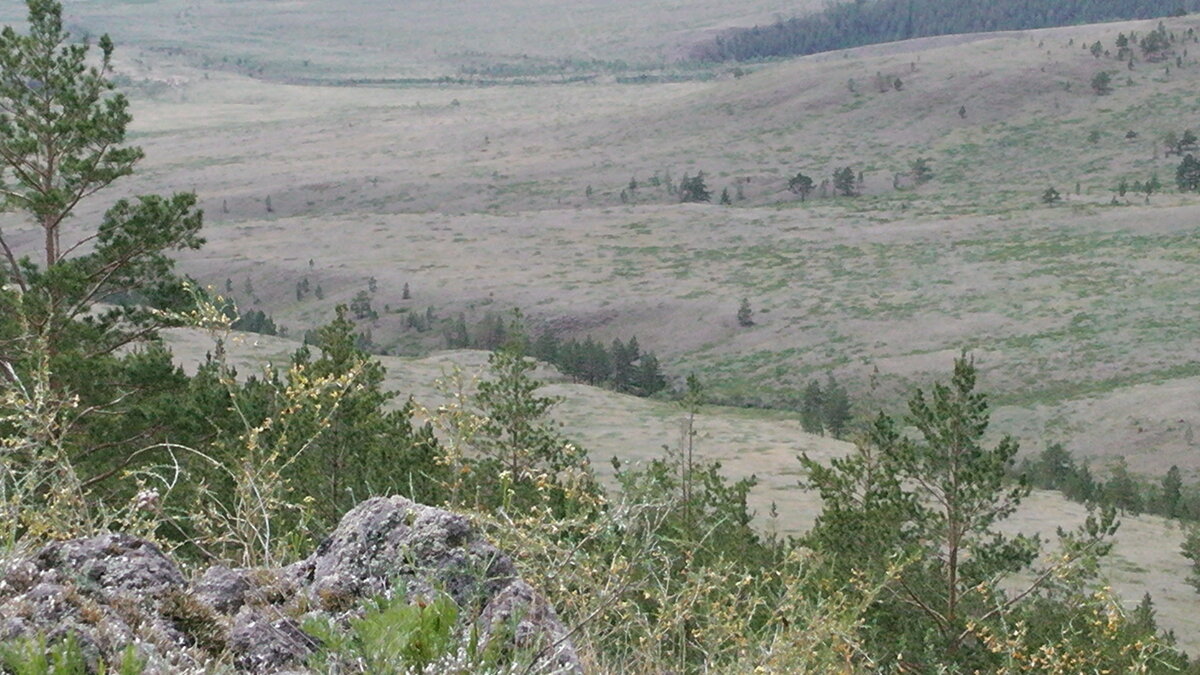 S2620001.JPG