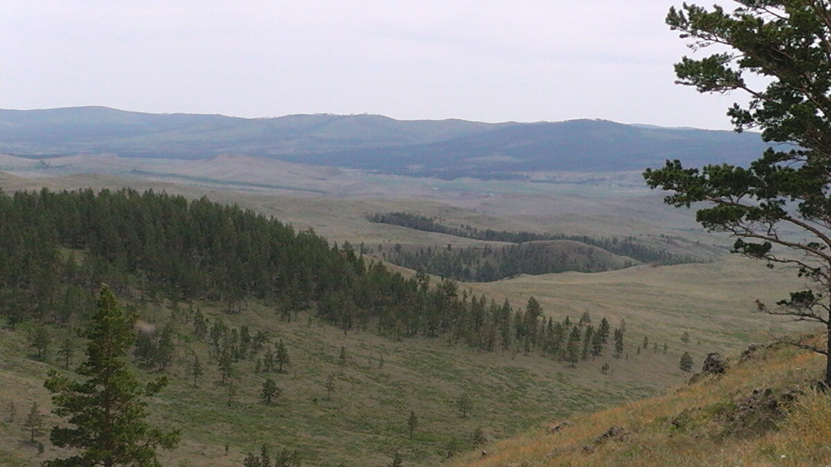 S2620003.JPG