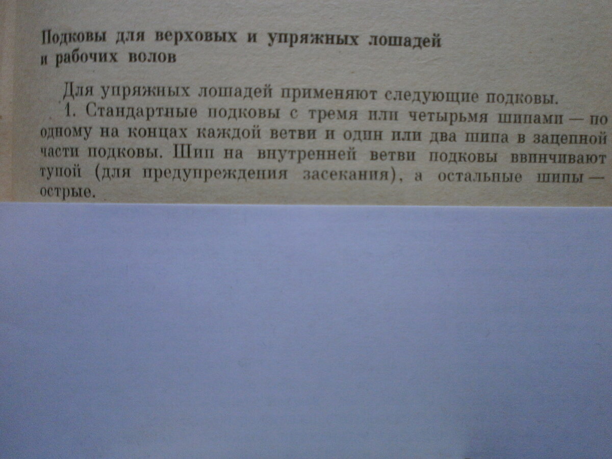 PA040274.JPG