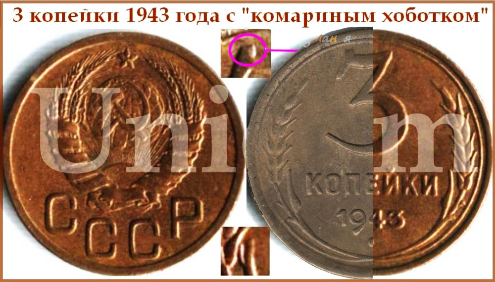 монеты копия.jpg