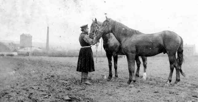 paard1.JPG