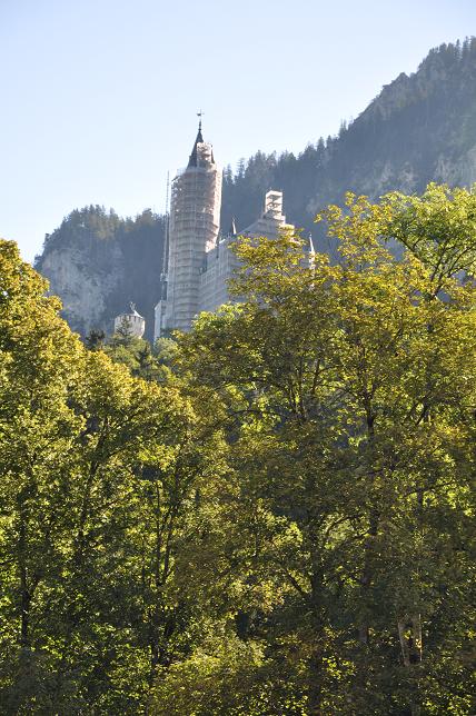 DSC_0340.JPG