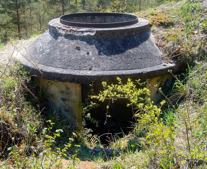 ringstaende-1-abb-01.jpg