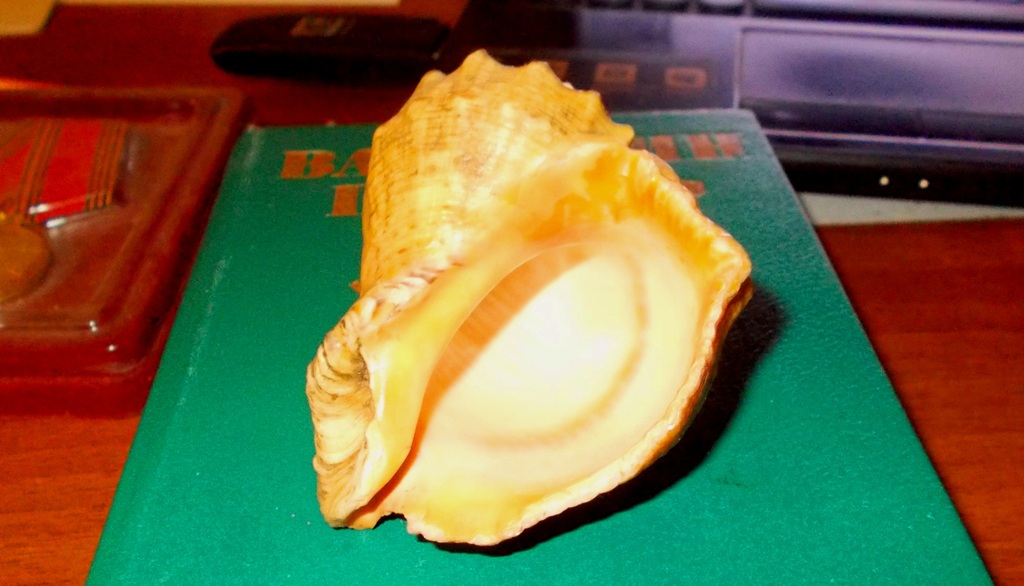 DSCN2749.JPG