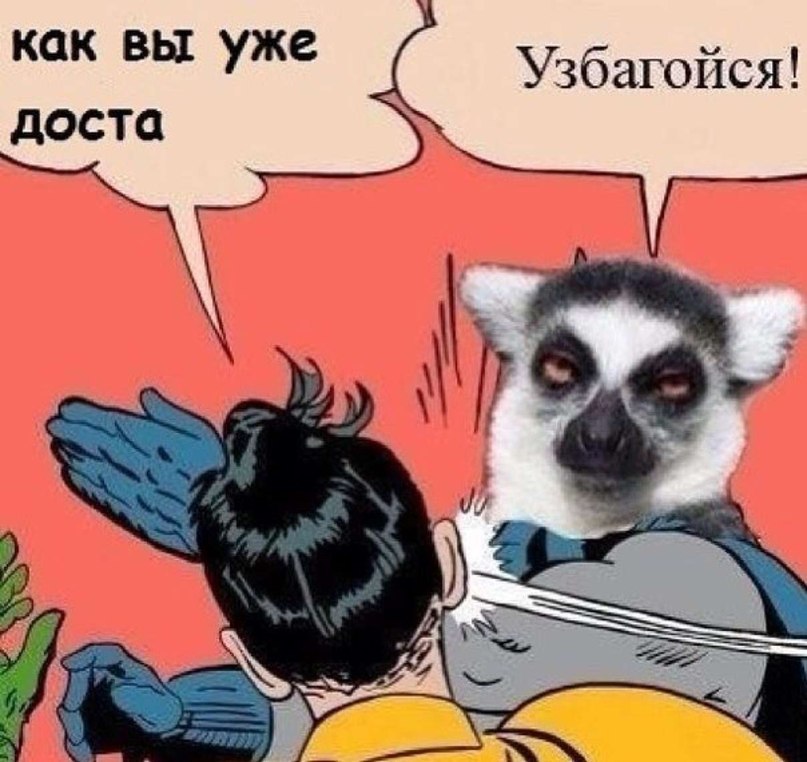 81120854.jpg