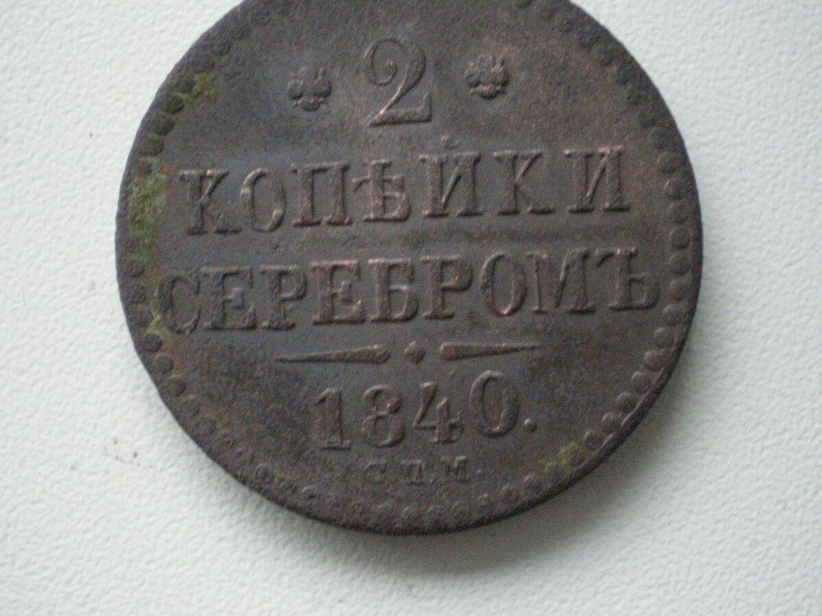 IMGP0269.JPG