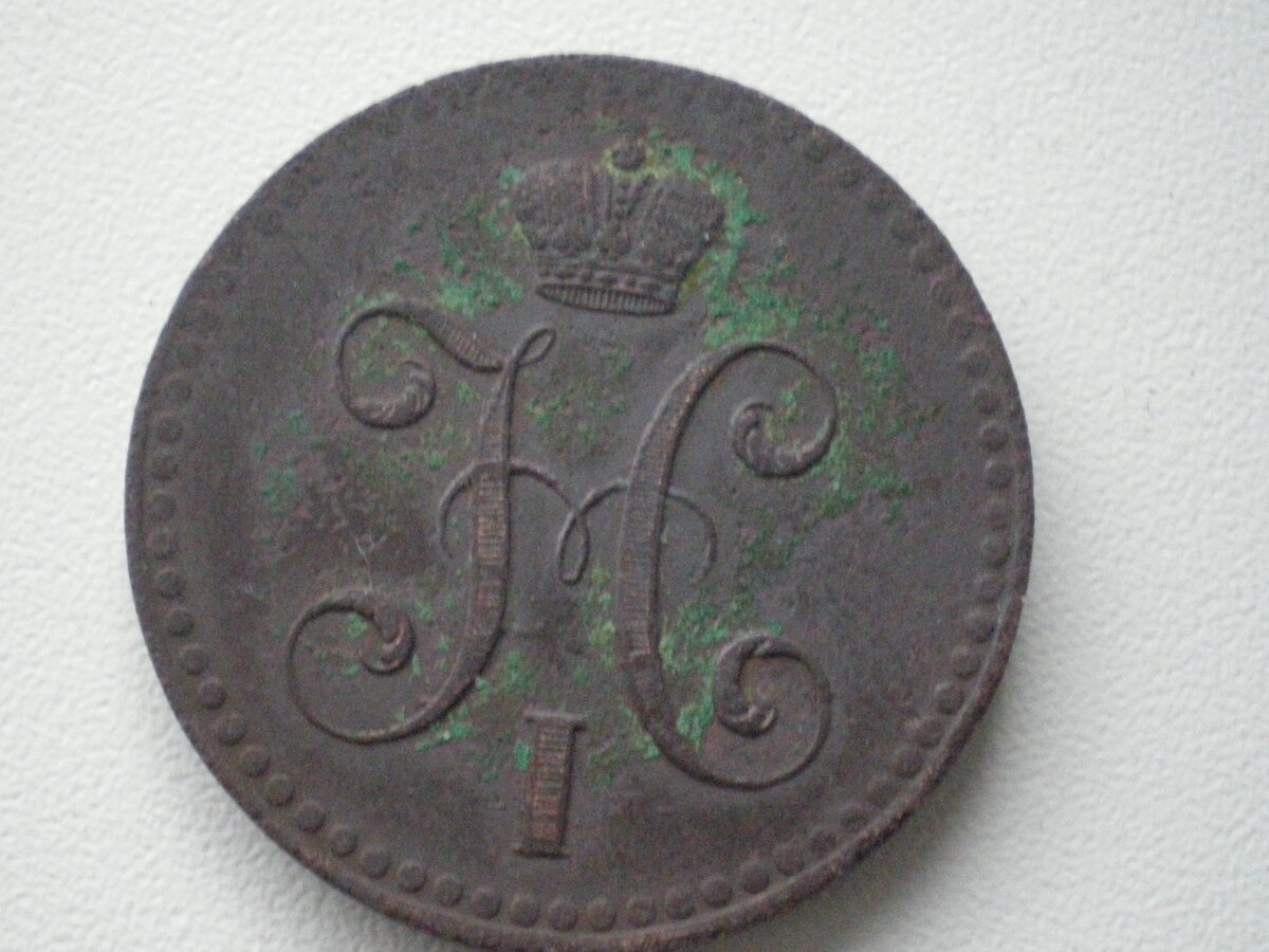 IMGP0270.JPG