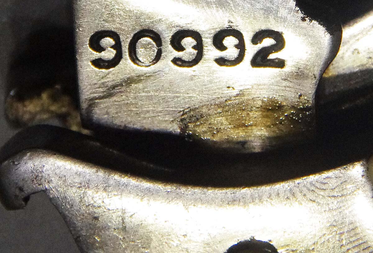 IMGP2934.JPG