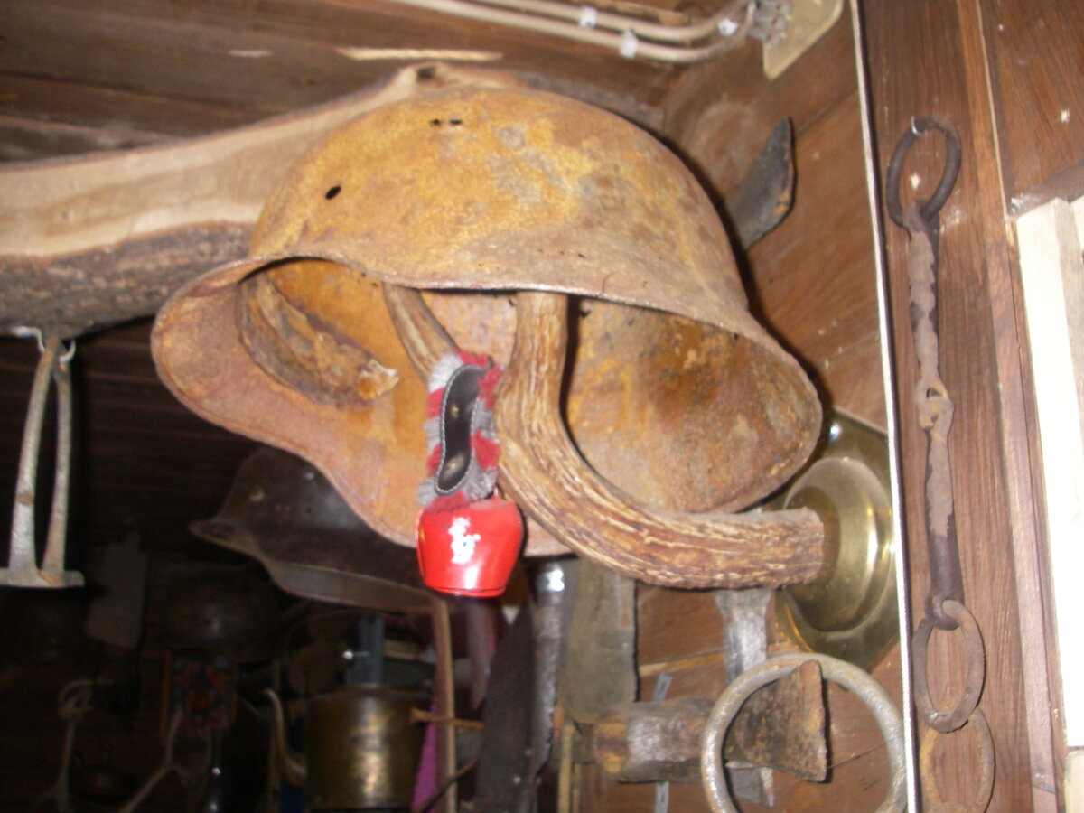 IMGP5049.JPG