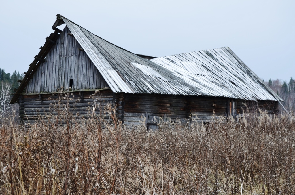 DSC_8396.JPG