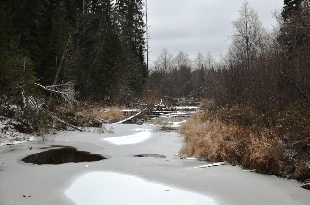 DSC_8406.JPG
