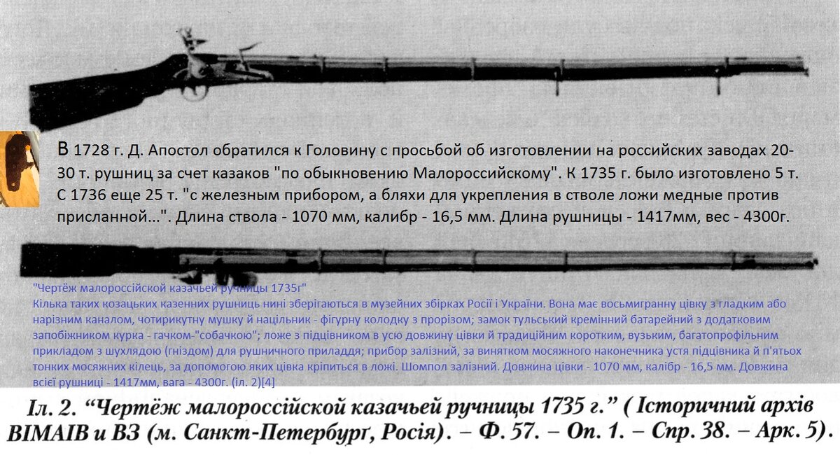 10638785.jpg