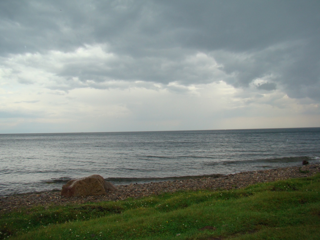894.JPG
