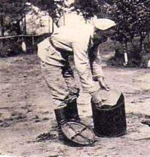 164.jpg