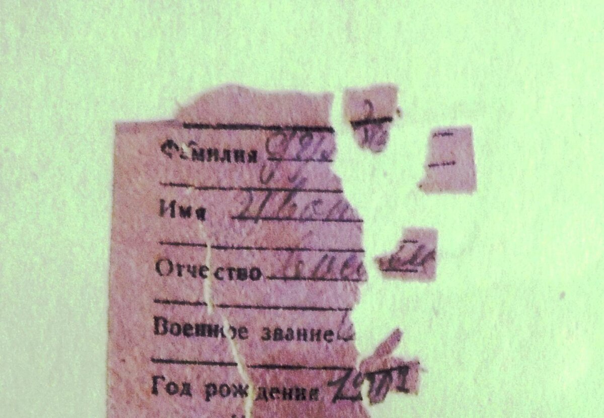 image (33).jpg