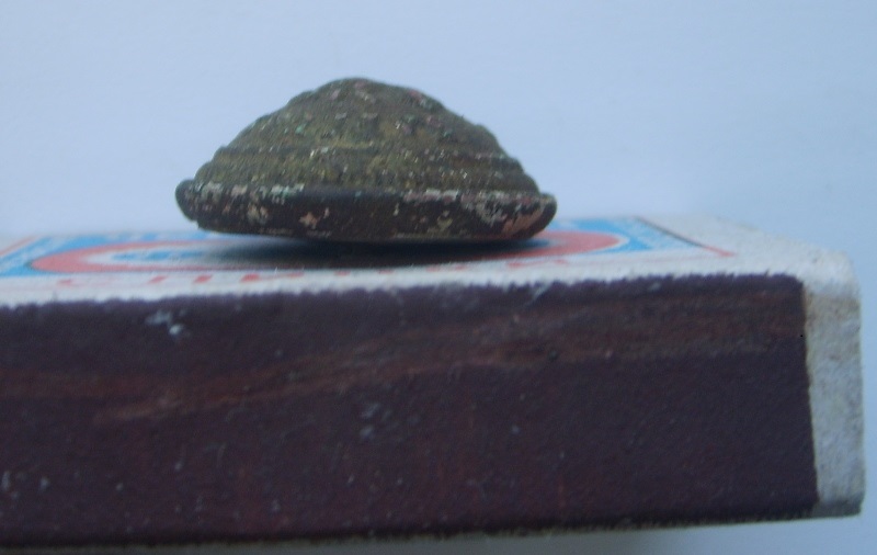 S6001078.JPG
