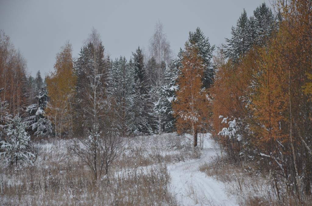 DSC_8618.JPG