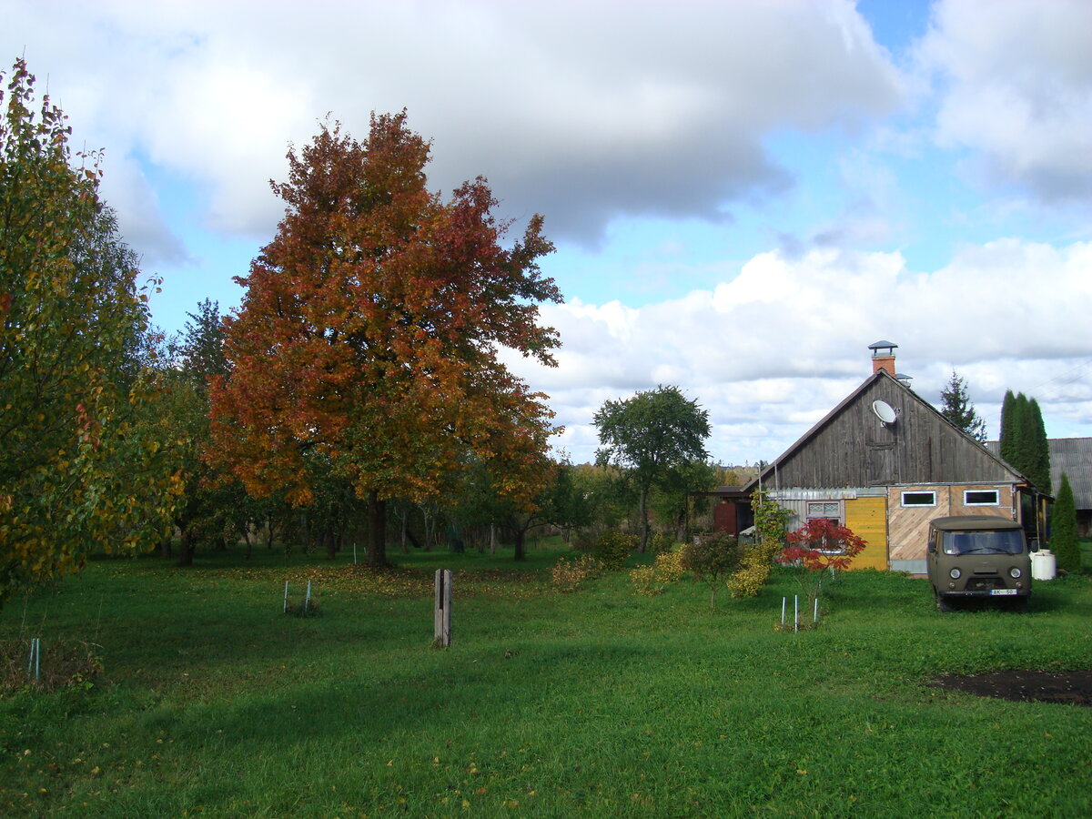 DSC08170.JPG