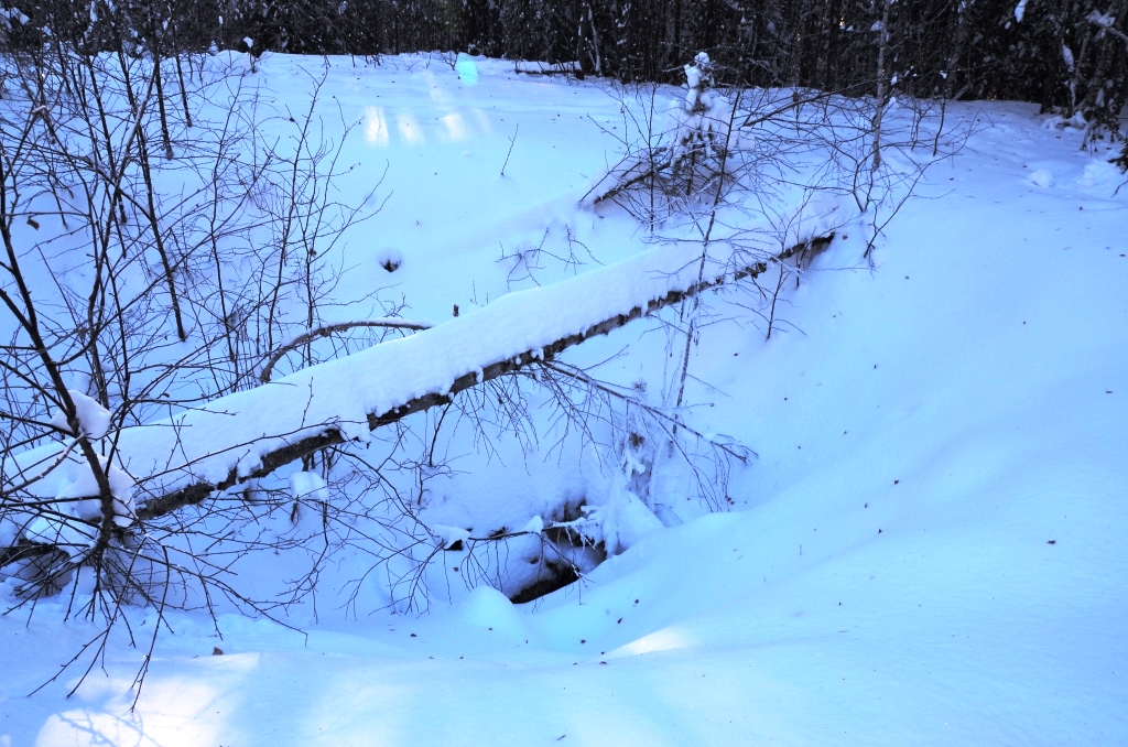 DSC_8701.JPG