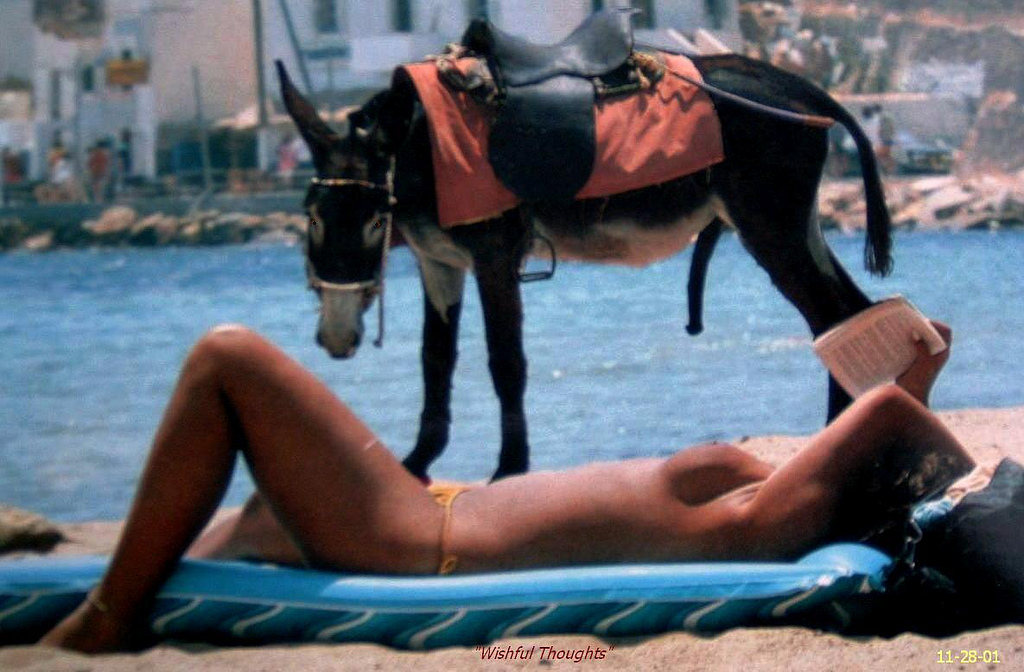 donkey_likes_women[1].jpg
