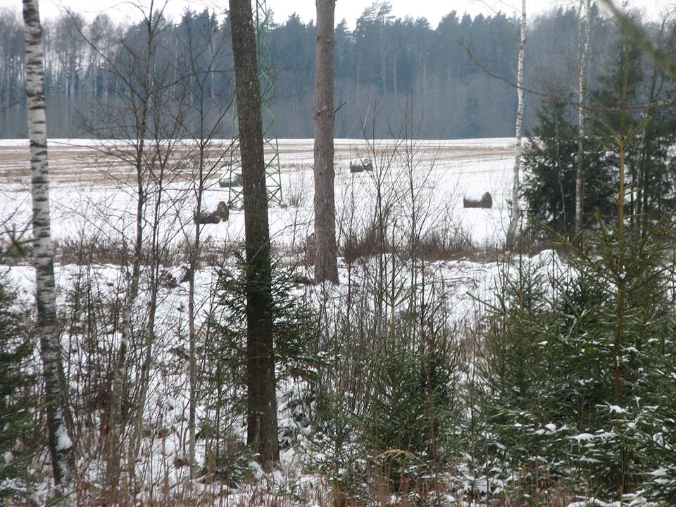 63.jpg