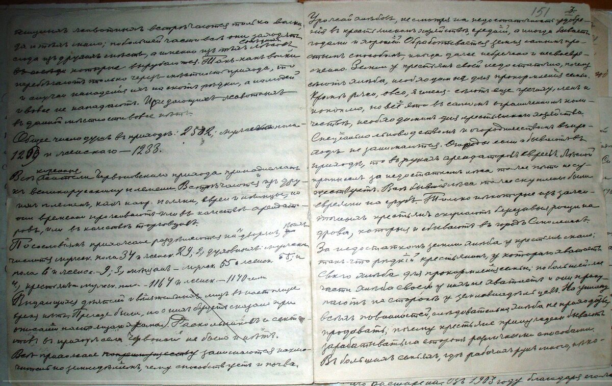 151.jpg