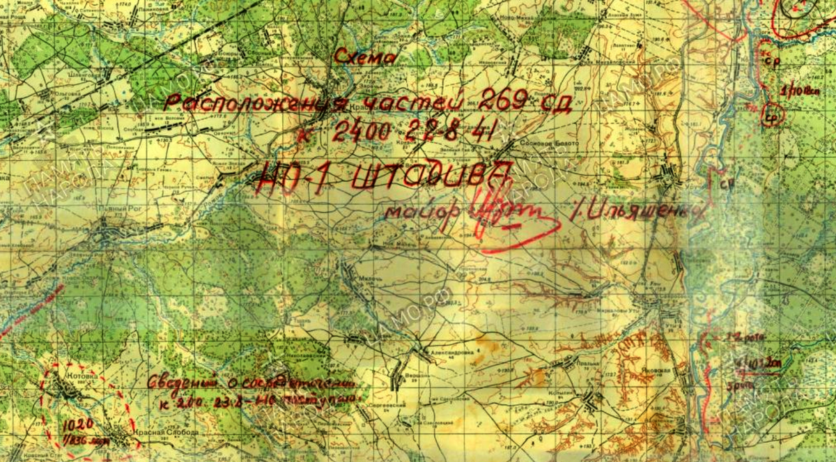 лап.png