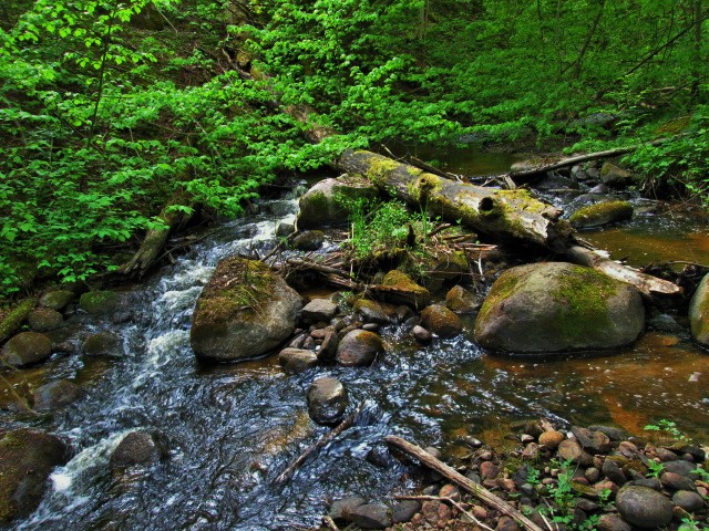IMG_6548 (2).JPG