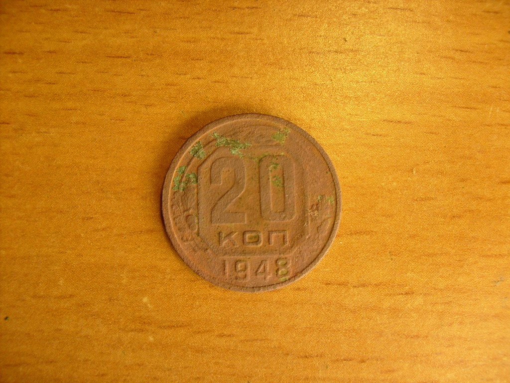 S6301121.JPG