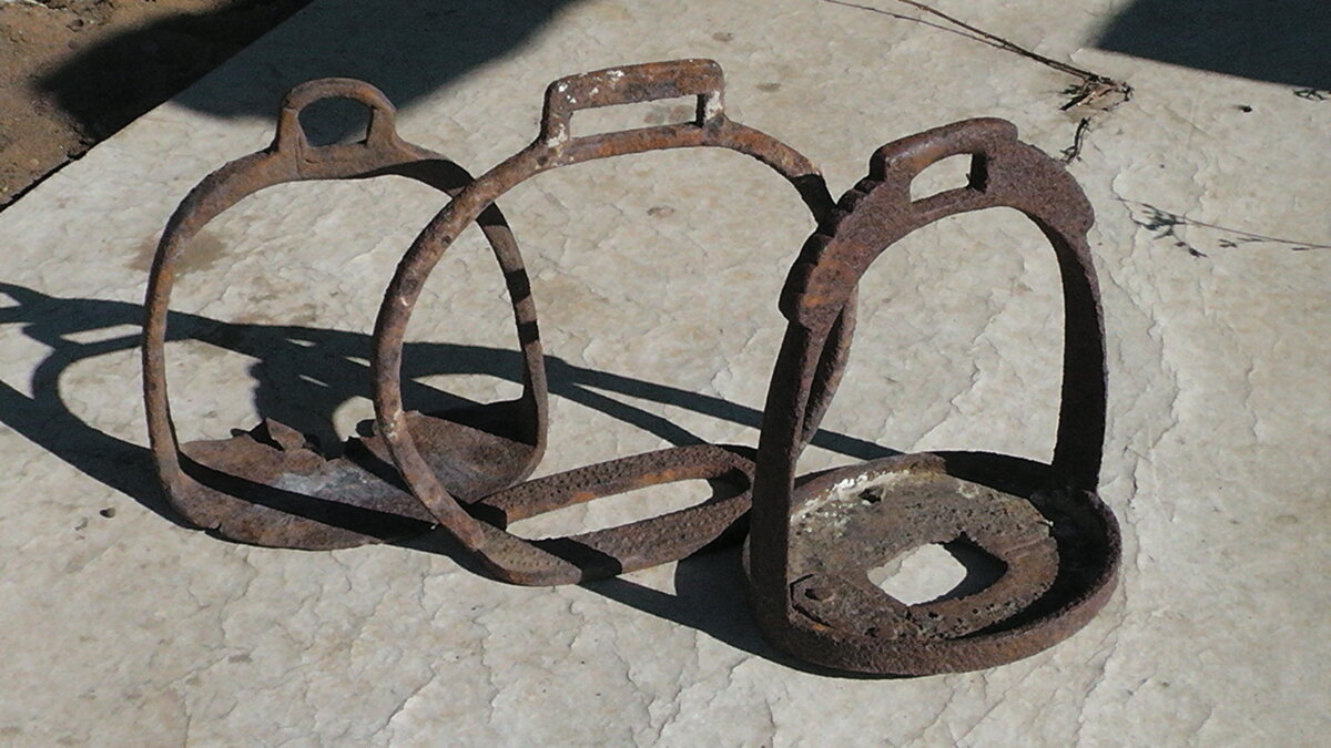 S2250007.JPG