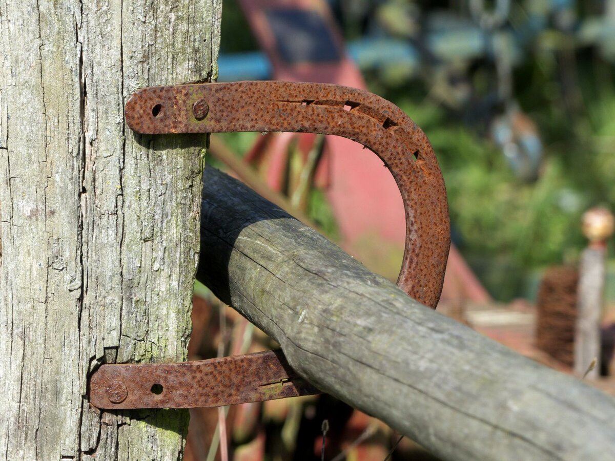 P1000048[1].jpg