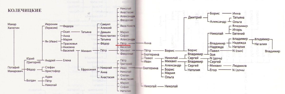 схема родосл.Колечицких.jpg