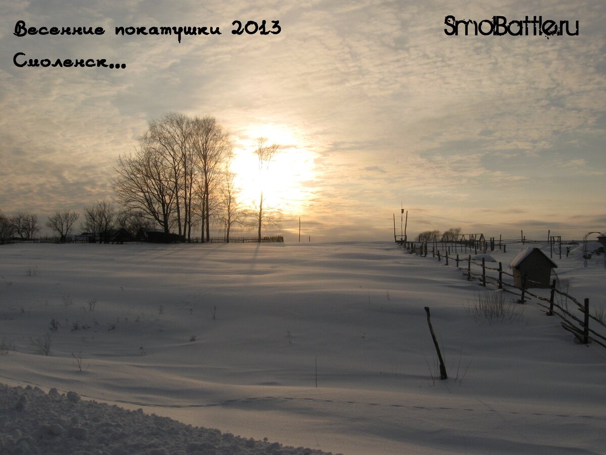 IMG_2995.JPG