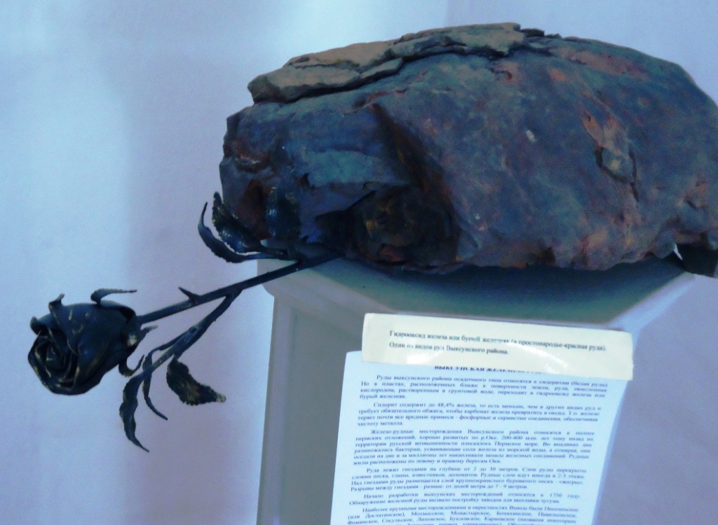 zheleznaya_roza.JPG
