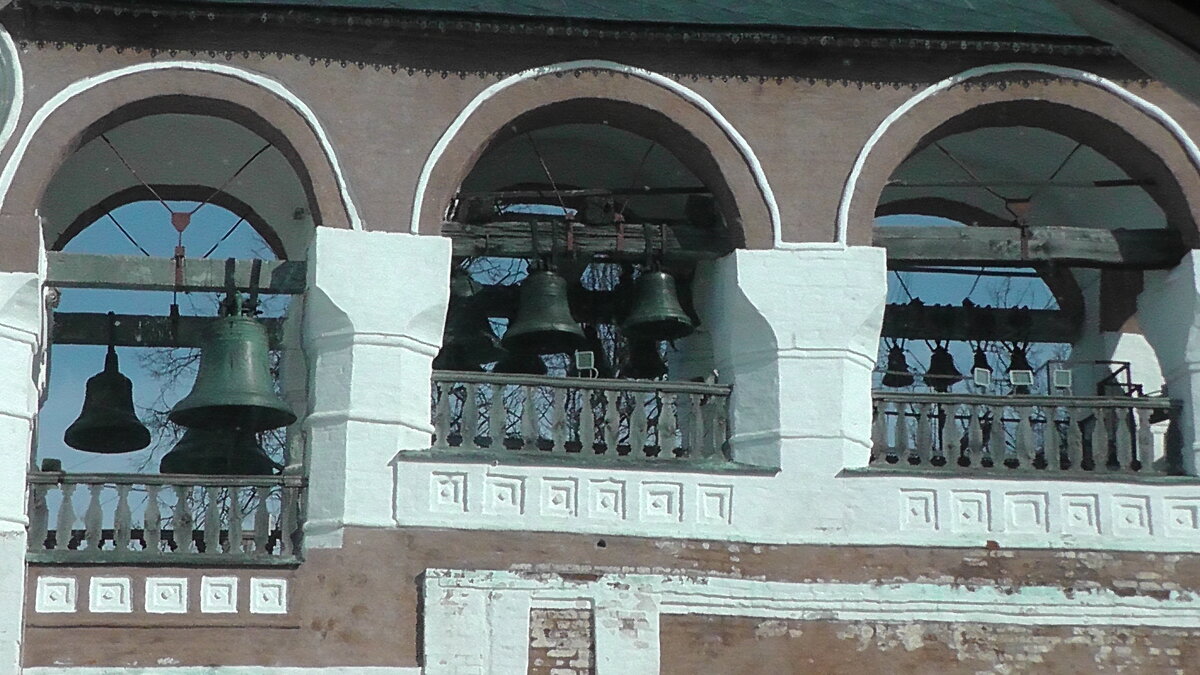 S1160122.JPG