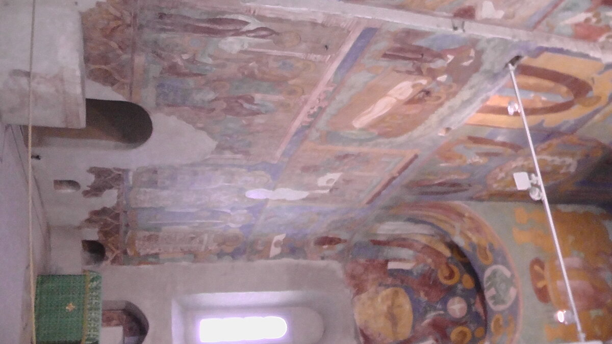 S1160141.JPG