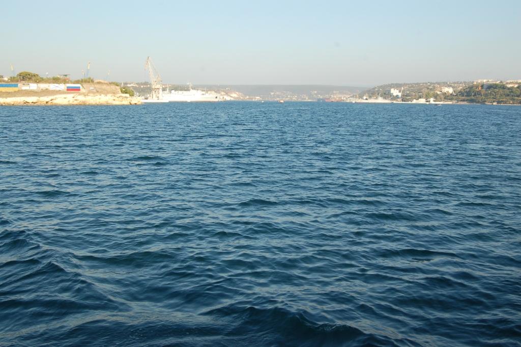 DSC_0502.JPG