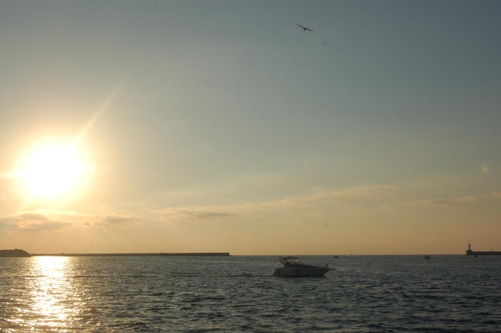 DSC_0537.JPG