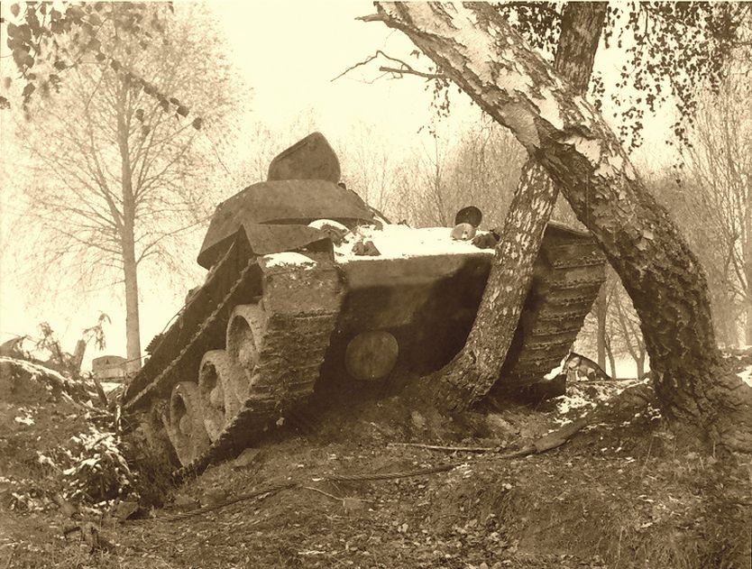 най_т-34-76 и береза.JPG