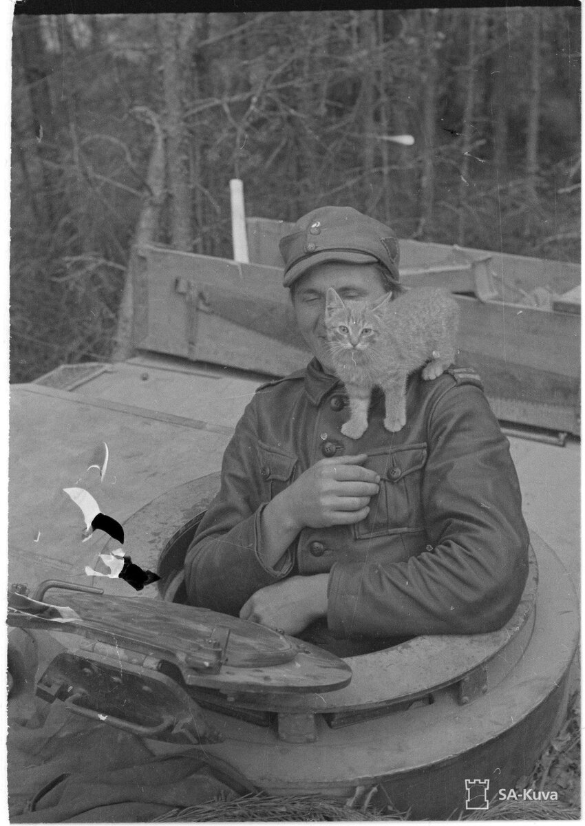 222.jpg