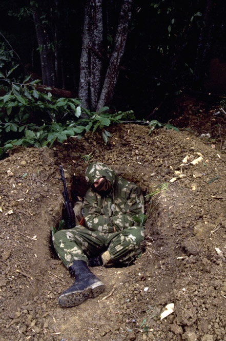 dd09669e.jpg