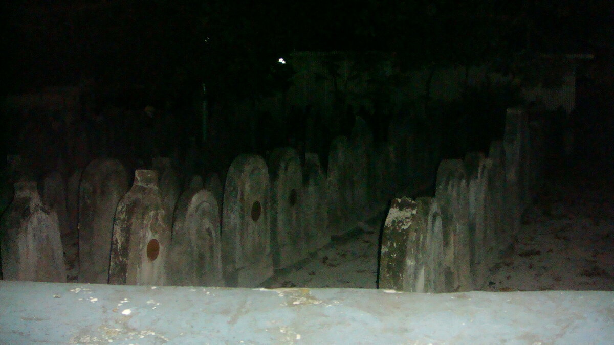 DSC03114.JPG
