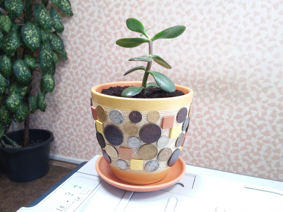 20161128_133634.jpg
