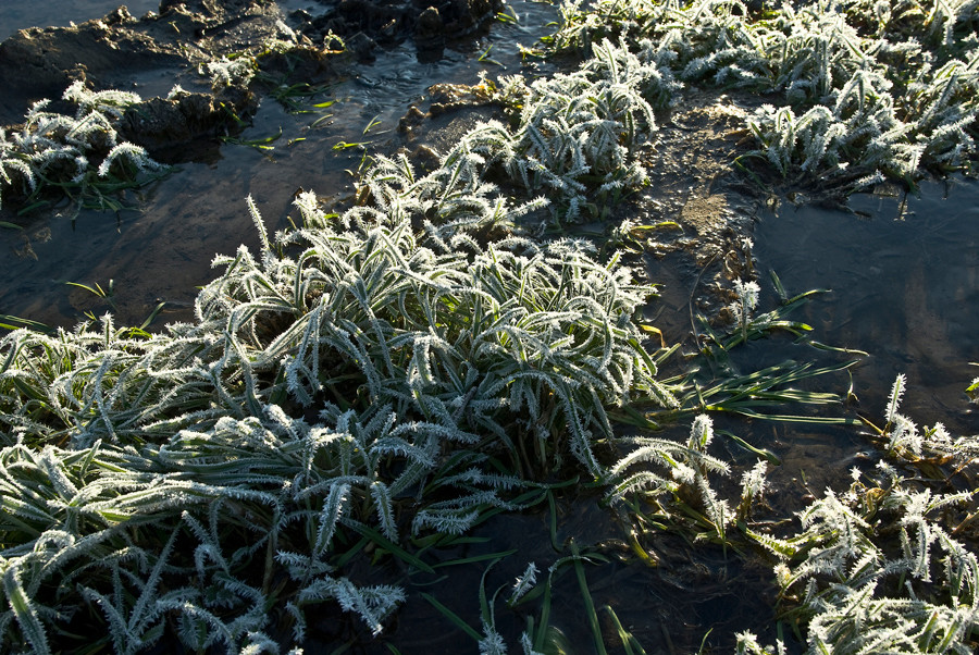 image (8).jpg