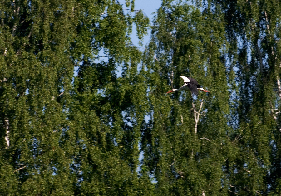 image (30).jpg