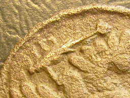 S6301400.JPG