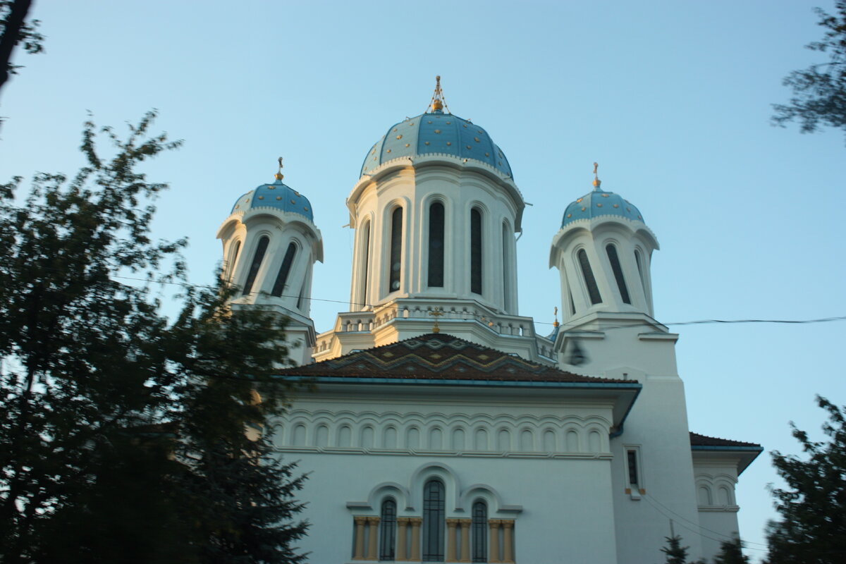 IMG_3769.JPG