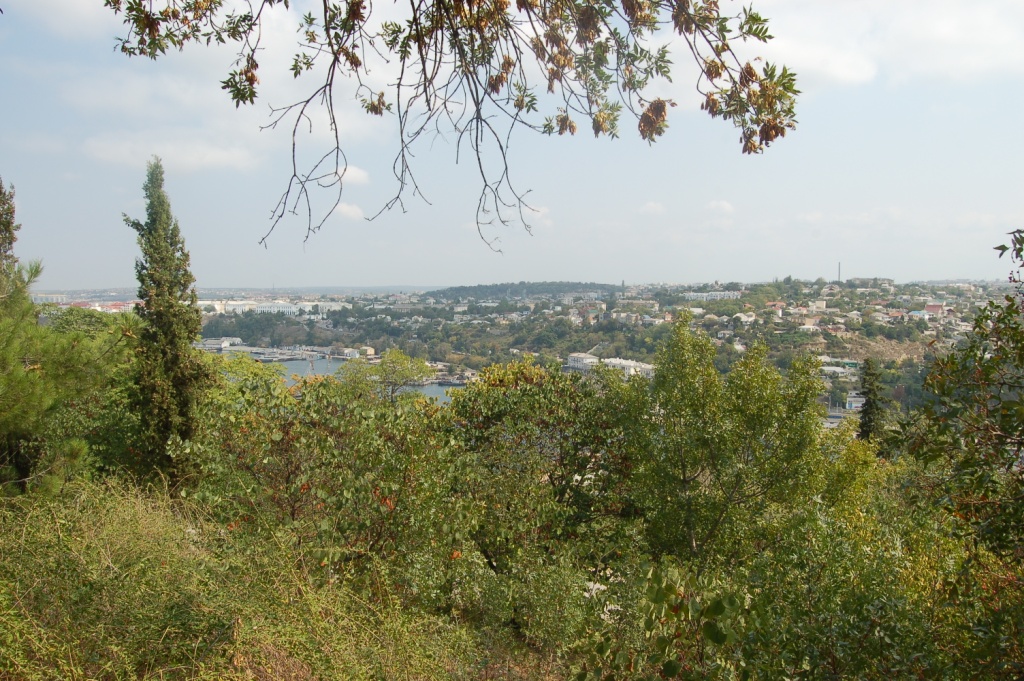 DSC_0572.JPG