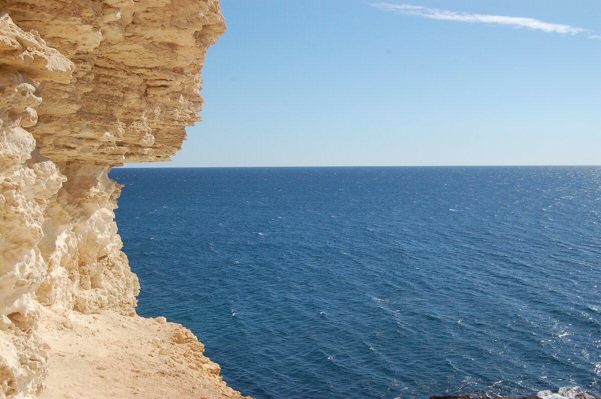 DSC_0610.JPG