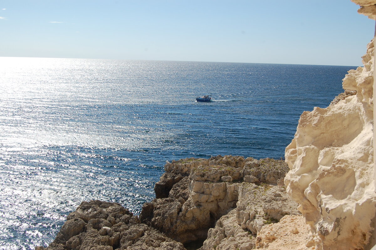 DSC_0611.JPG